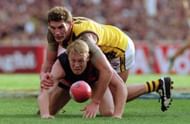 Essendon v Hawthorn
